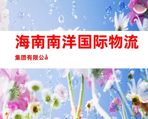 海南南洋国际物流集团有限公司